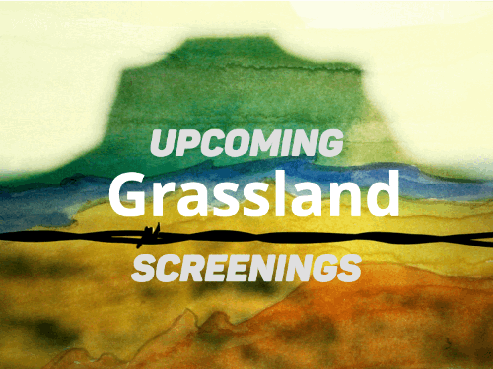 An image of a butte superimposed with watercolor painting and a piece of barbed wire is overlaid by the text "Upcoming Grassland Screenings"