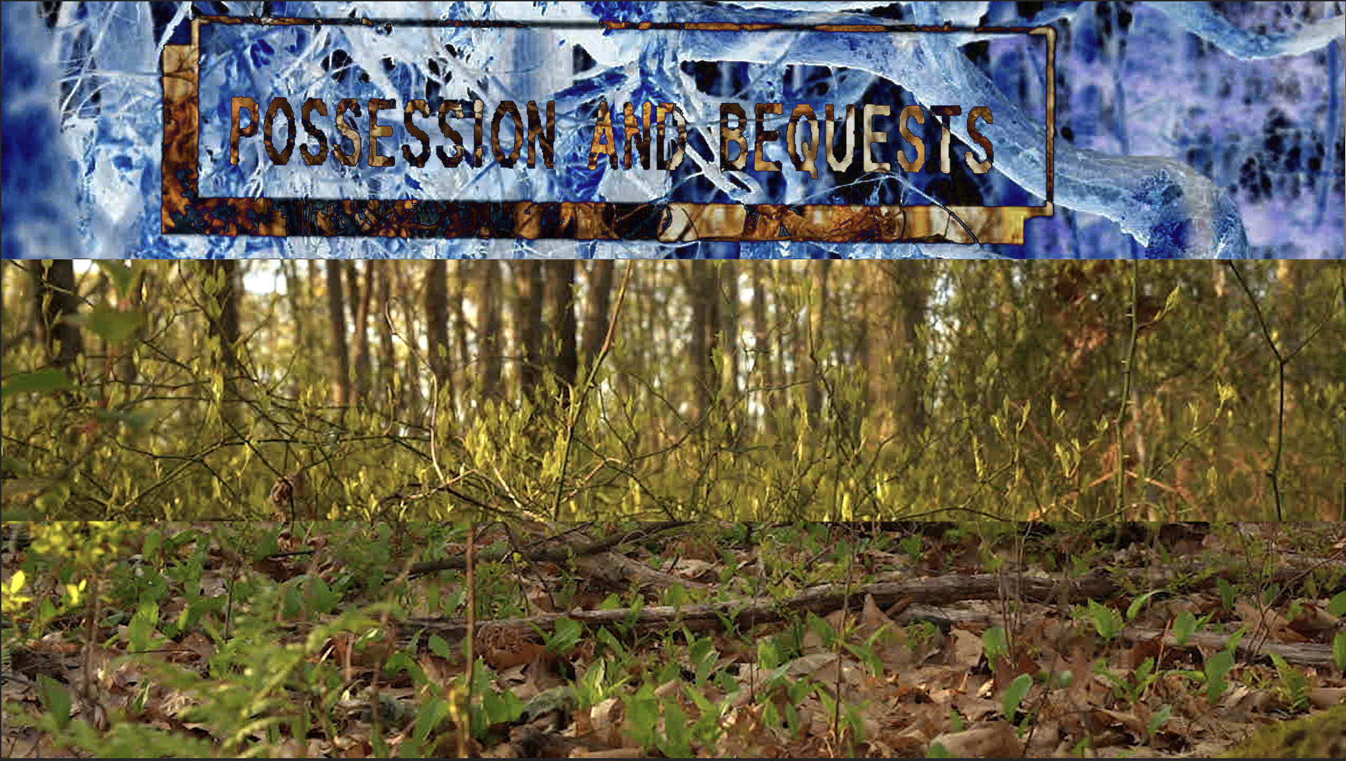 Split-screen image offforest floor with overlay text in negative reading "possession and bequests"