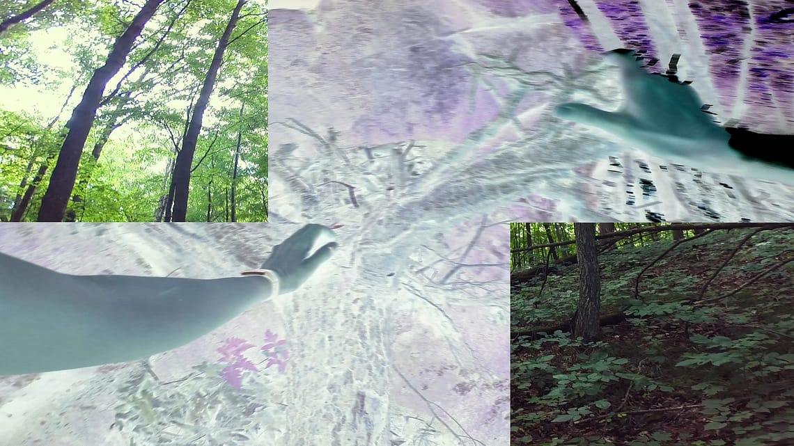Video still broken into rectangles. The central section is in negative color and features an arm. Edge rectangles show forest.