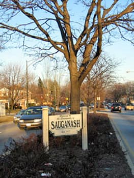Sign reading Sauganash sits in a traffic median below a dormant, leafless tree.