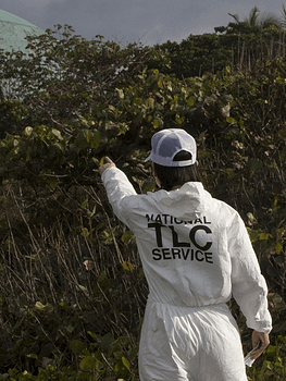 A figure faces away from the camera wearing a white hazmat suit with the text TLC Service emblazoned on the back points to a green dome over a lush forest.