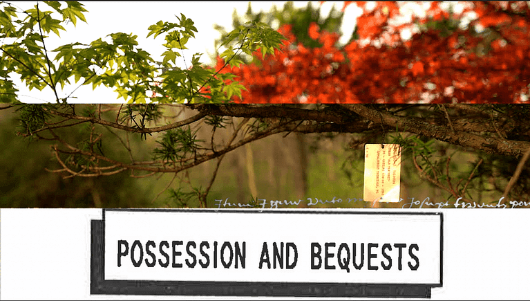 Split-screen image of trees with an arboretum label and text readign "possession and bequests"