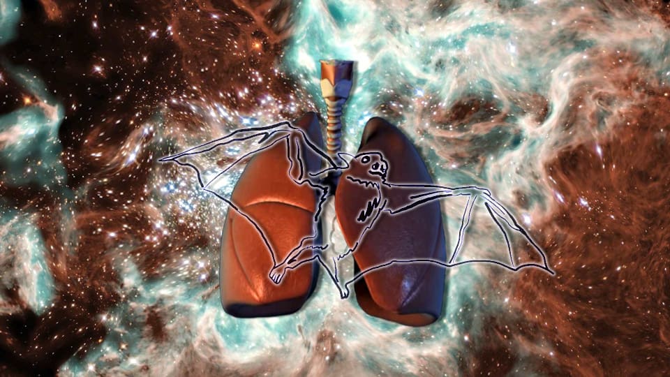 Cutout of a medical illustration of human lungs against a warped rendering of a galactic formation. A drawn image of a bat is superimposed on the lungs.